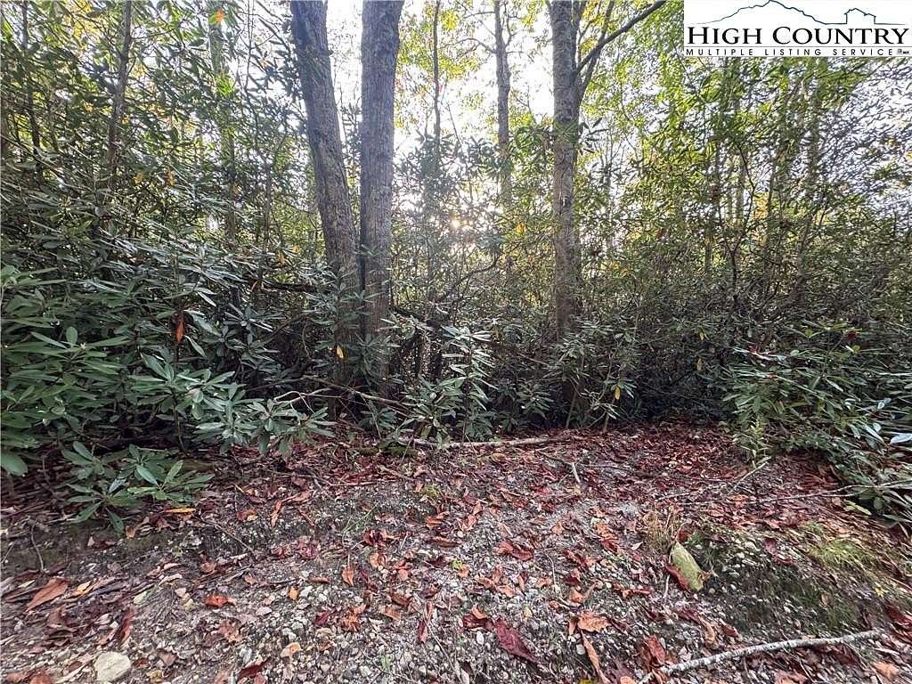 1.17 Acres of Residential Land for Sale in Newland, North Carolina