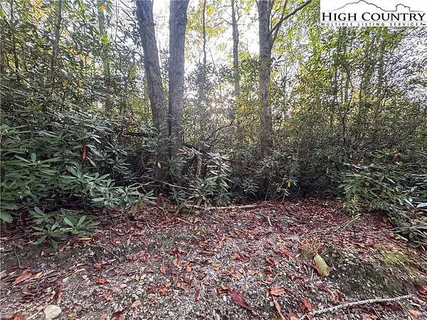 1.17 Acres of Residential Land for Sale in Newland, North Carolina