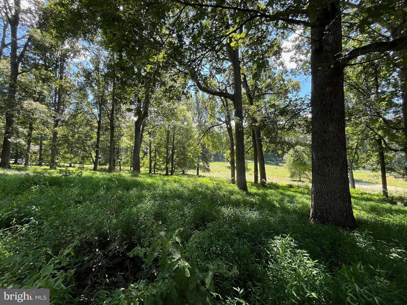 16 Acres of Land with Home for Sale in Haymarket, Virginia