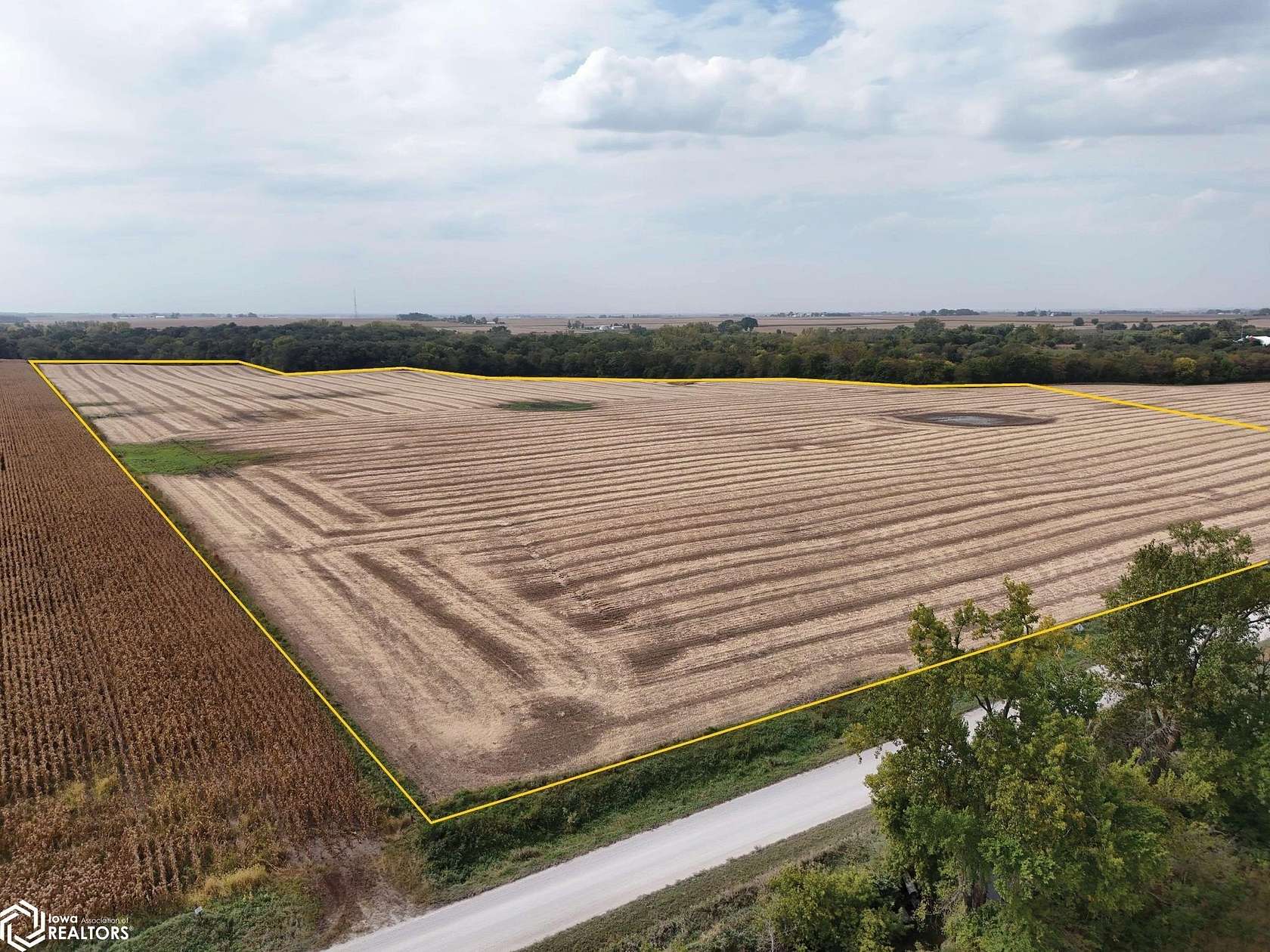61.3 Acres of Agricultural Land for Auction in Story City, Iowa