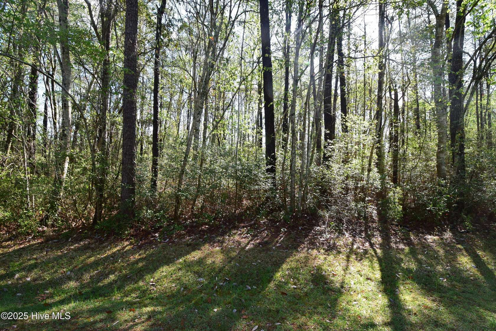 0.37 Acres of Residential Land for Sale in New Bern, North Carolina