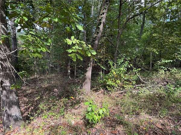 0.42 Acres of Residential Land for Sale in Bella Vista, Arkansas
