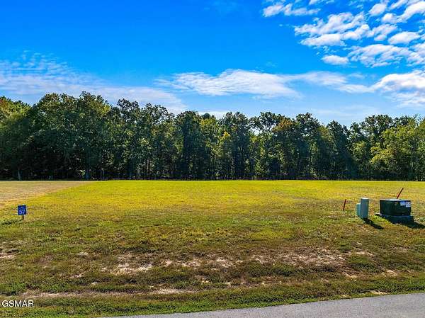 1 Acre of Residential Land for Sale in White Pine, Tennessee