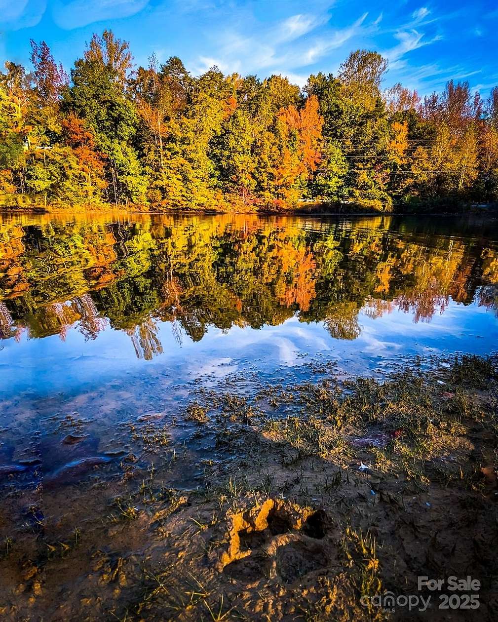 16.4 Acres of Land with Home for Sale in Clover, South Carolina