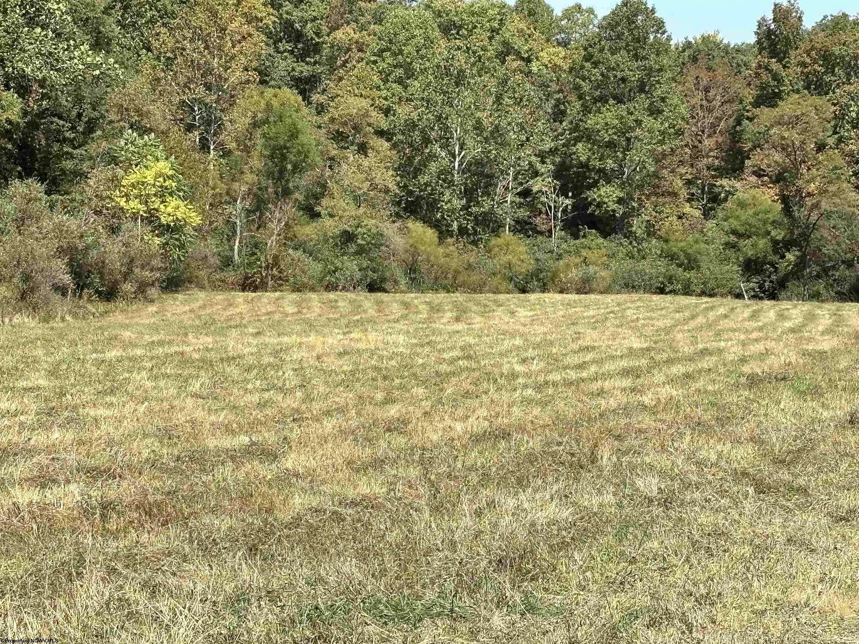 215 Acres of Land for Sale in Junior, West Virginia