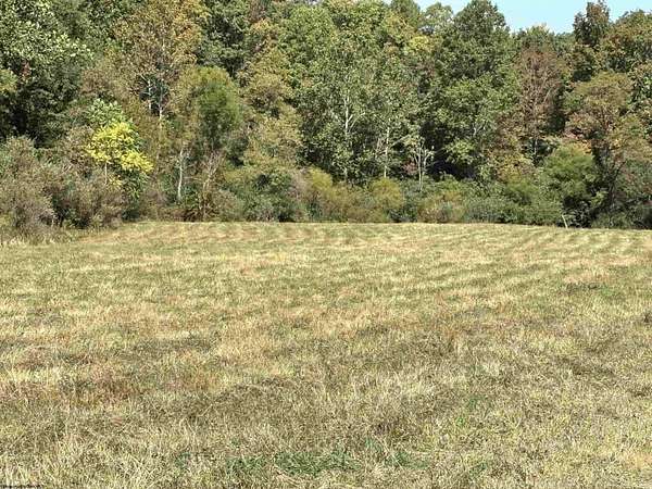 215 Acres of Land for Sale in Junior, West Virginia