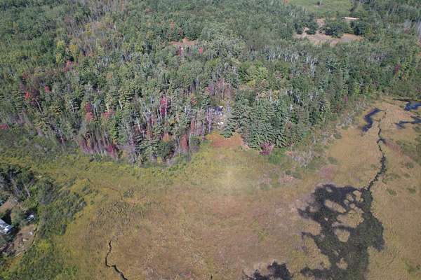 20 Acres of Land for Sale in Atlanta, Michigan