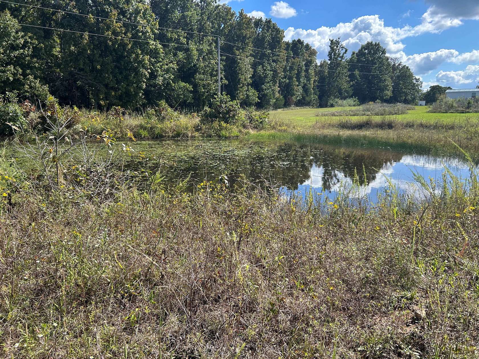 20 Acres of Land with Home for Sale in Newburg, Missouri