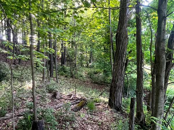 2.5 Acres of Land for Sale in New Berlin, New York