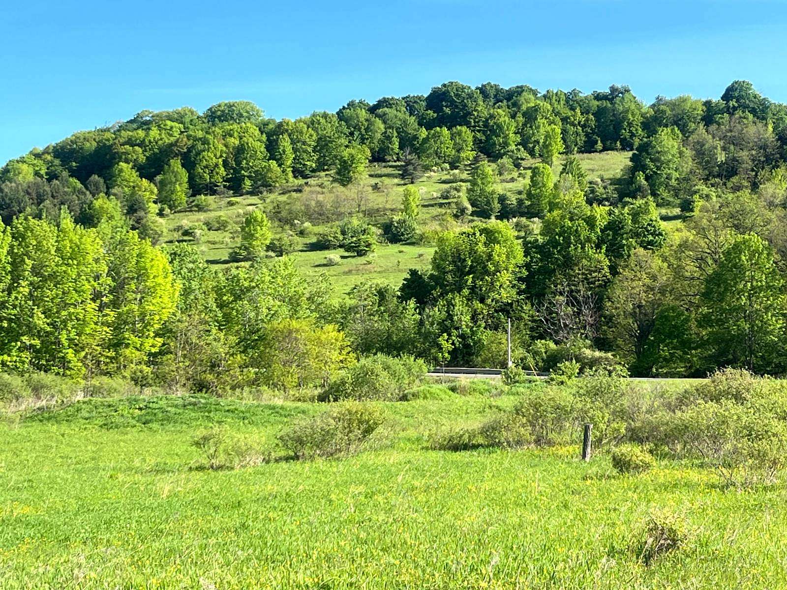 14.2 Acres of Land for Sale in New Berlin, New York