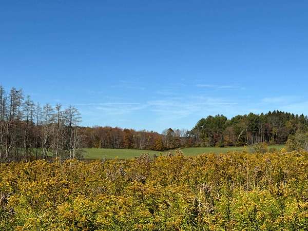 14.2 Acres of Land for Sale in New Berlin, New York