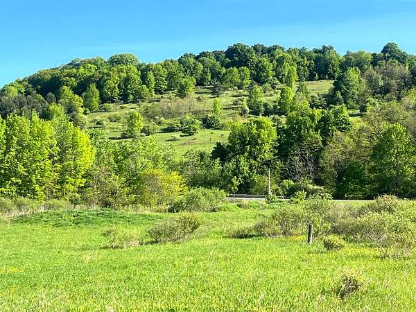 14.2 Acres of Land for Sale in New Berlin, New York