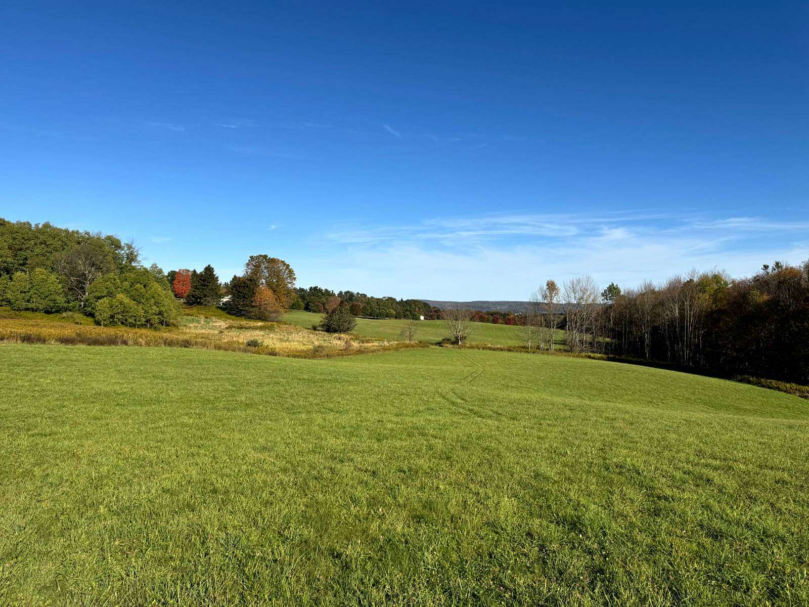 12.4 Acres of Recreational Land for Sale in New Berlin, New York