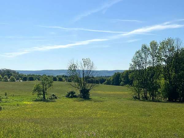 12.4 Acres of Recreational & Residential Land for Sale in New Berlin, New York