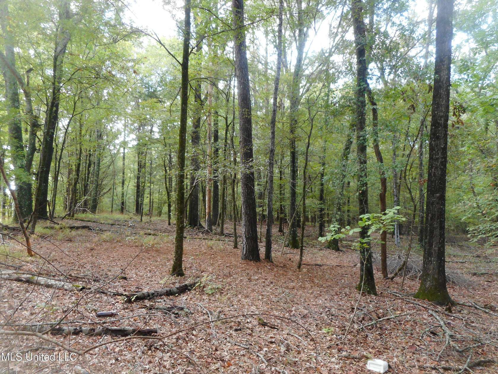 24 Acres of Recreational Land for Sale in Bentonia, Mississippi