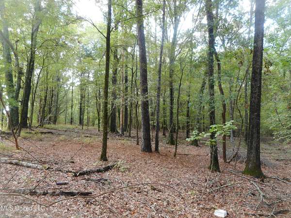 24 Acres of Recreational Land for Sale in Bentonia, Mississippi