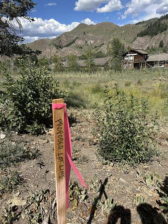 1 Acre of Residential Land for Sale in Ketchum, Idaho