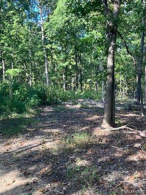 17.7 Acres of Land for Sale in Fredericktown, Missouri