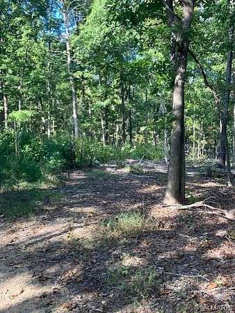 17.7 Acres of Land for Sale in Fredericktown, Missouri