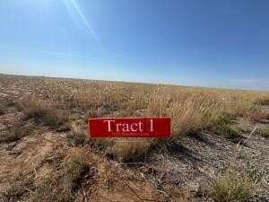 16.7 Acres of Land for Sale in Hartley, Texas