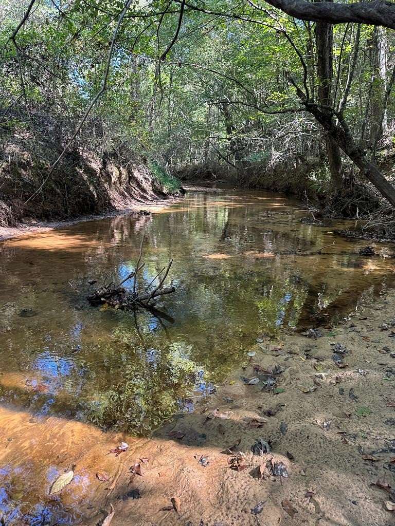 39 Acres of Recreational Land for Sale in Walnut, Mississippi