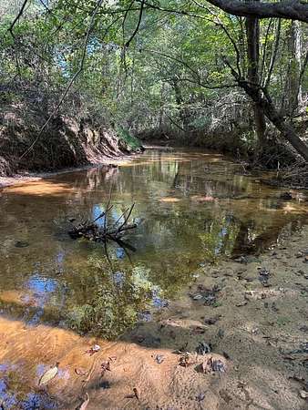 39 Acres of Recreational Land for Sale in Walnut, Mississippi