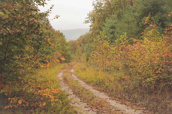 615 Acres of Recreational Land for Sale in Oakdale, Tennessee