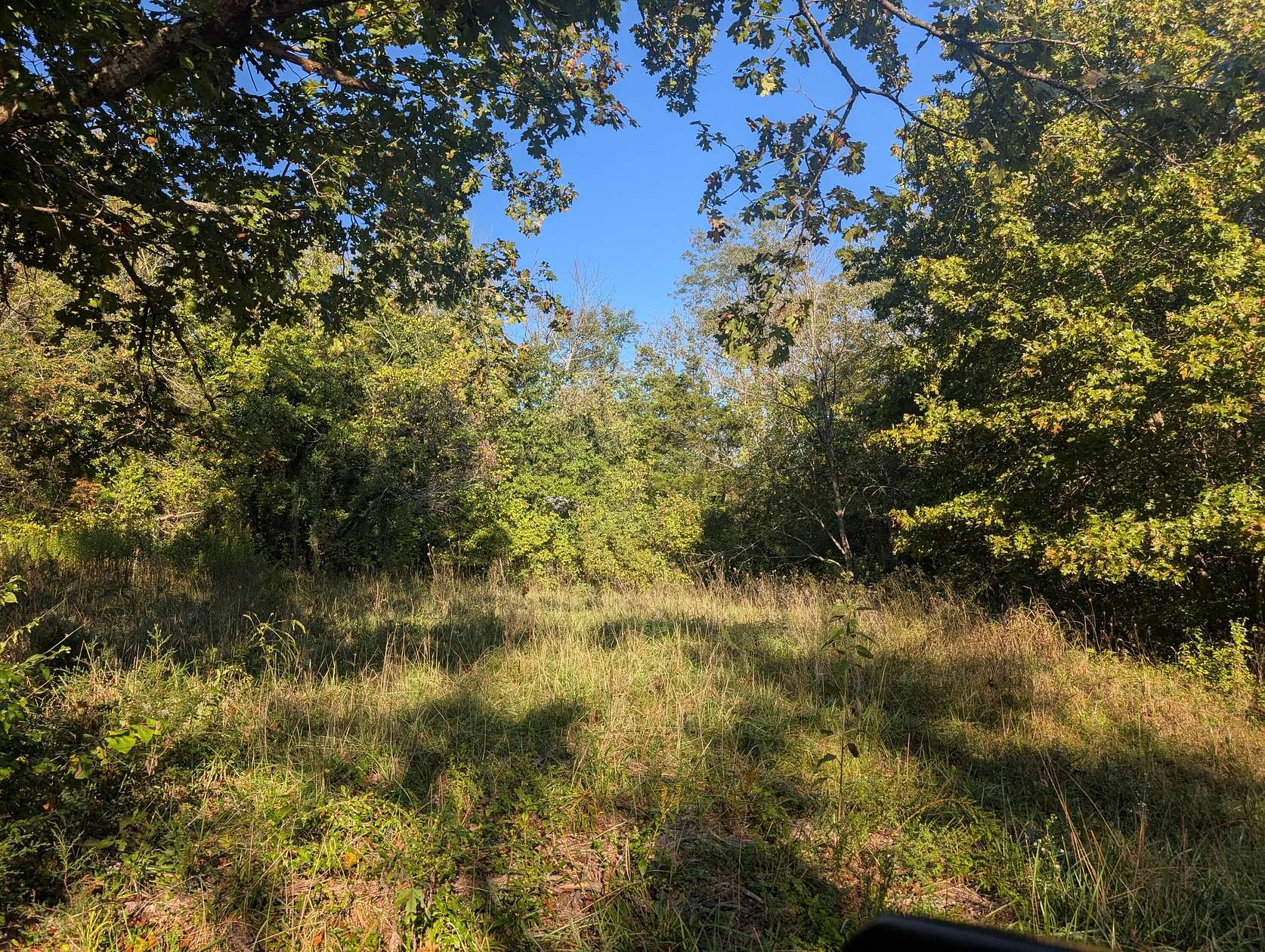 0.41 Acres of Residential Land for Sale in Shell Knob, Missouri
