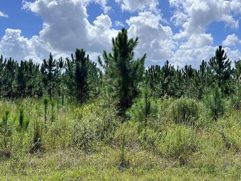 5 Acres of Residential Land for Sale in Bell, Florida