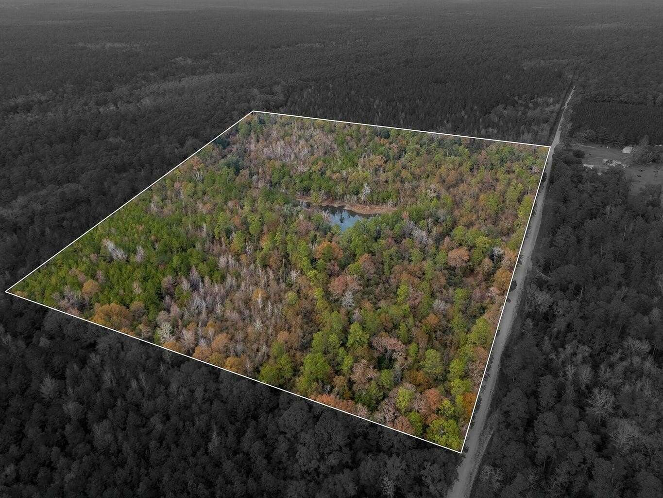 50 Acres of Recreational Land for Sale in Baker, Florida