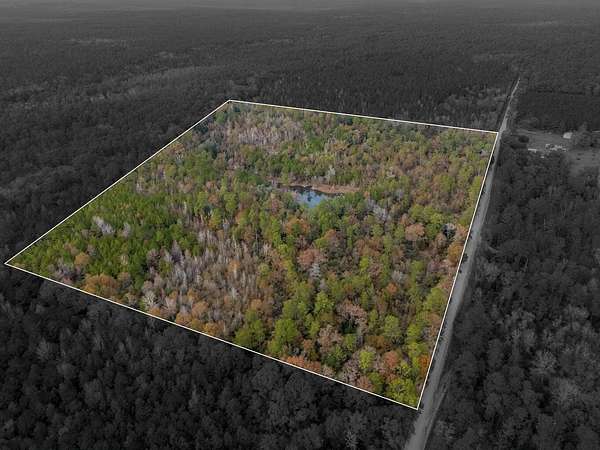 50 Acres of Recreational Land for Sale in Baker, Florida
