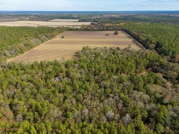 80.6 Acres of Land for Sale in Baker, Florida
