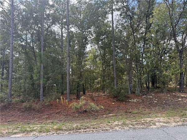 1 Acre of Land for Sale in Blackshear, Georgia