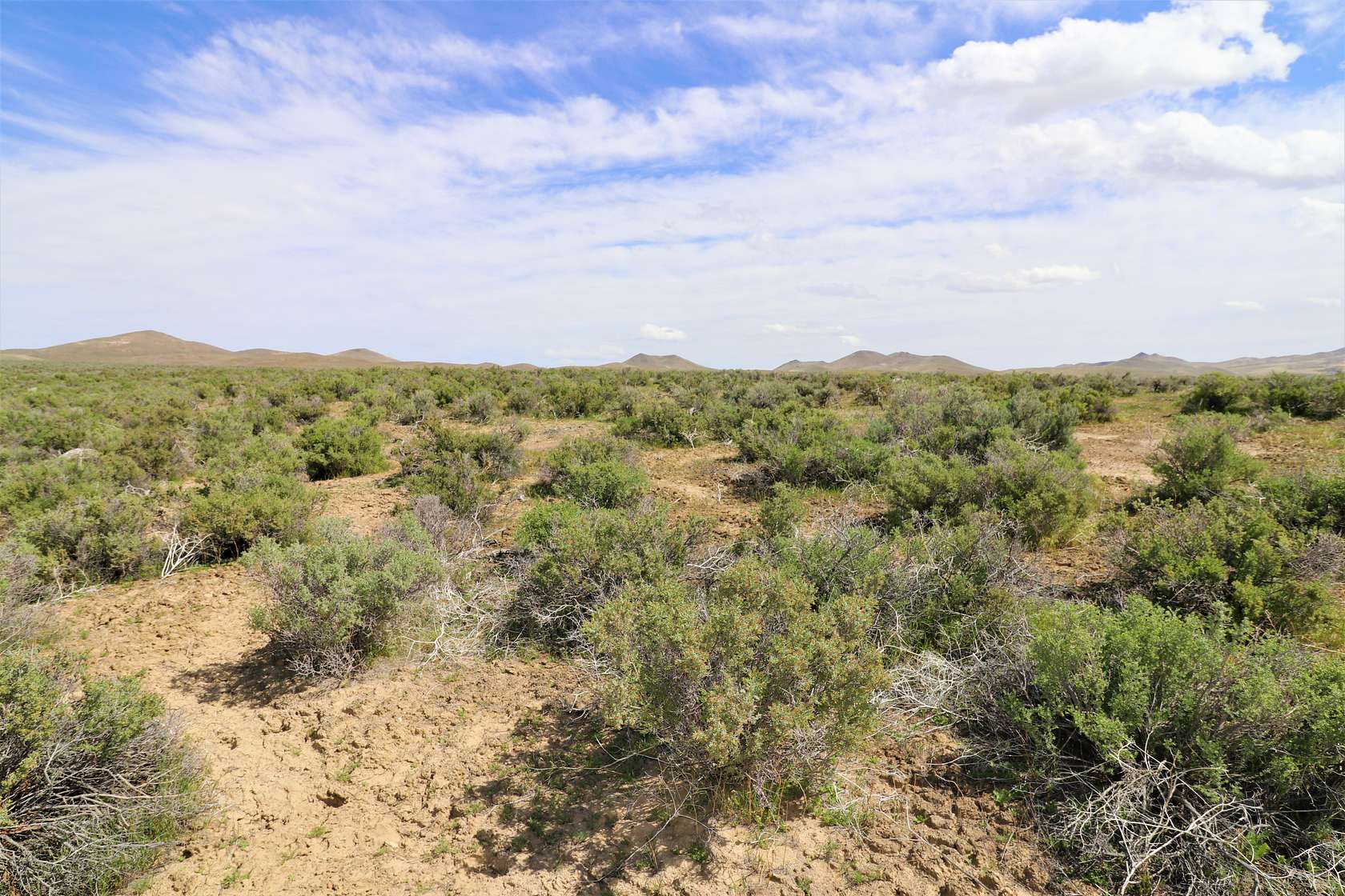 33.5 Acres of Recreational Land for Sale in Valmy, Nevada