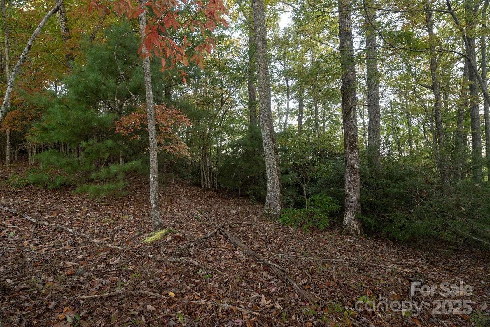 1.25 Acres of Residential Land for Sale in Brevard, North Carolina