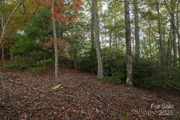 1.25 Acres of Residential Land for Sale in Brevard, North Carolina