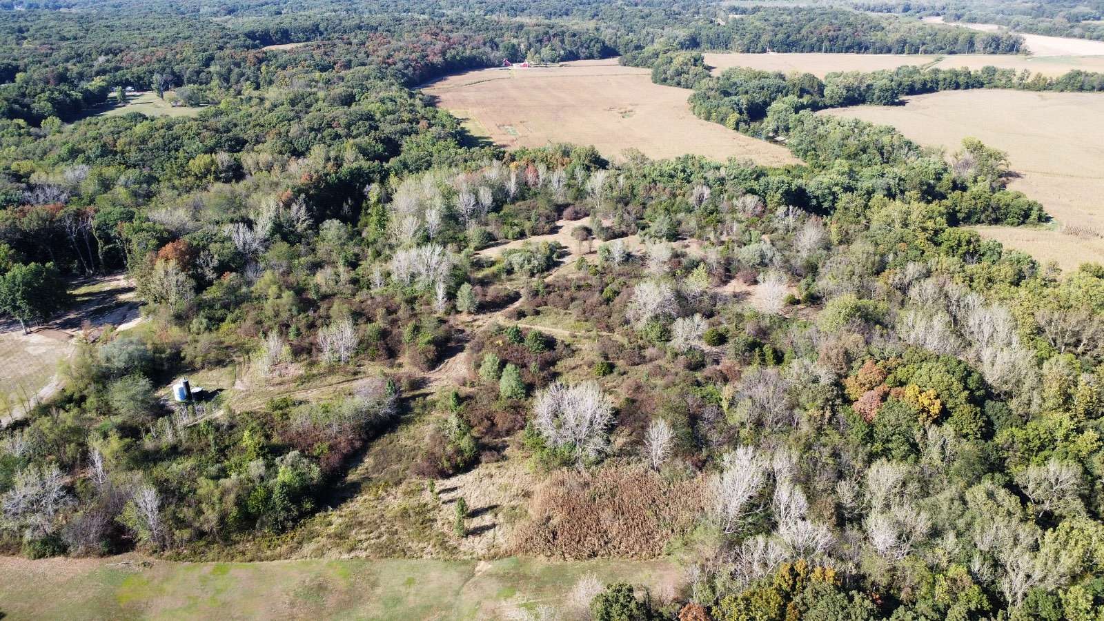 31.1 Acres of Recreational Land for Sale in Effingham, Illinois