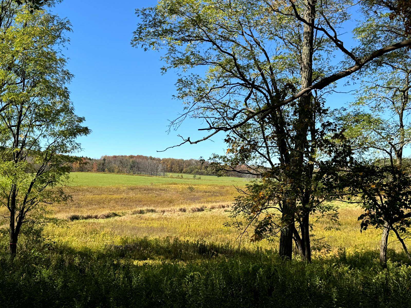 12 Acres of Recreational Land for Sale in New Berlin, New York