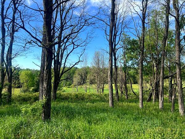 12 Acres of Recreational & Residential Land for Sale in New Berlin, New York