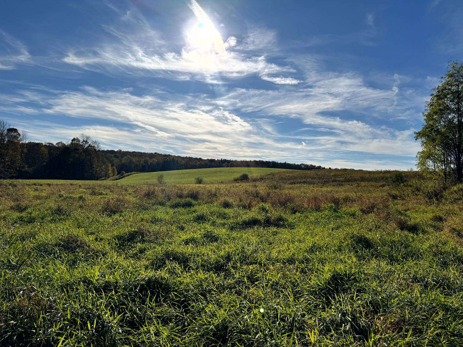 5.44 Acres of Land for Sale in New Berlin, New York