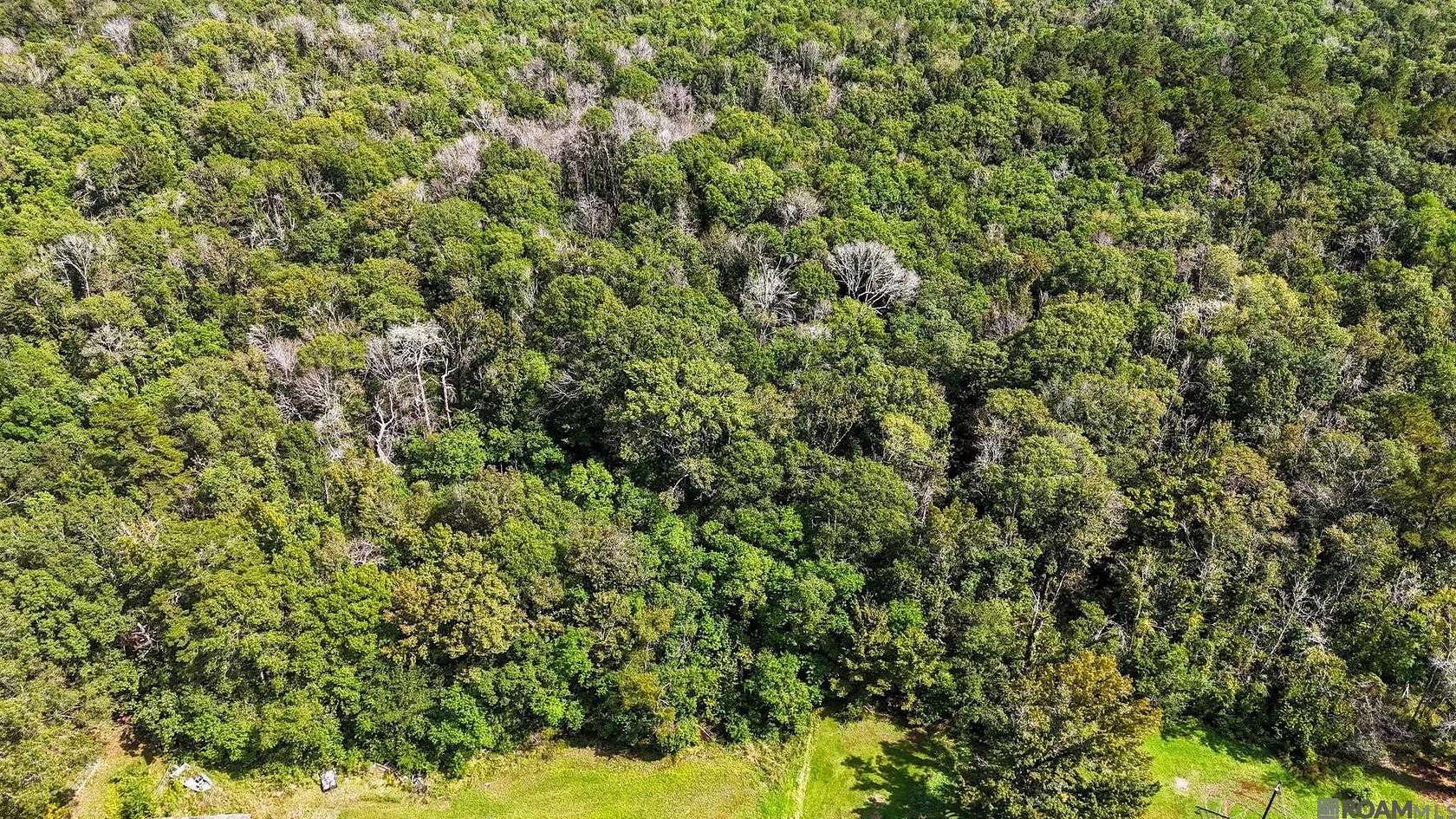 3 Acres of Land for Sale in Denham Springs, Louisiana