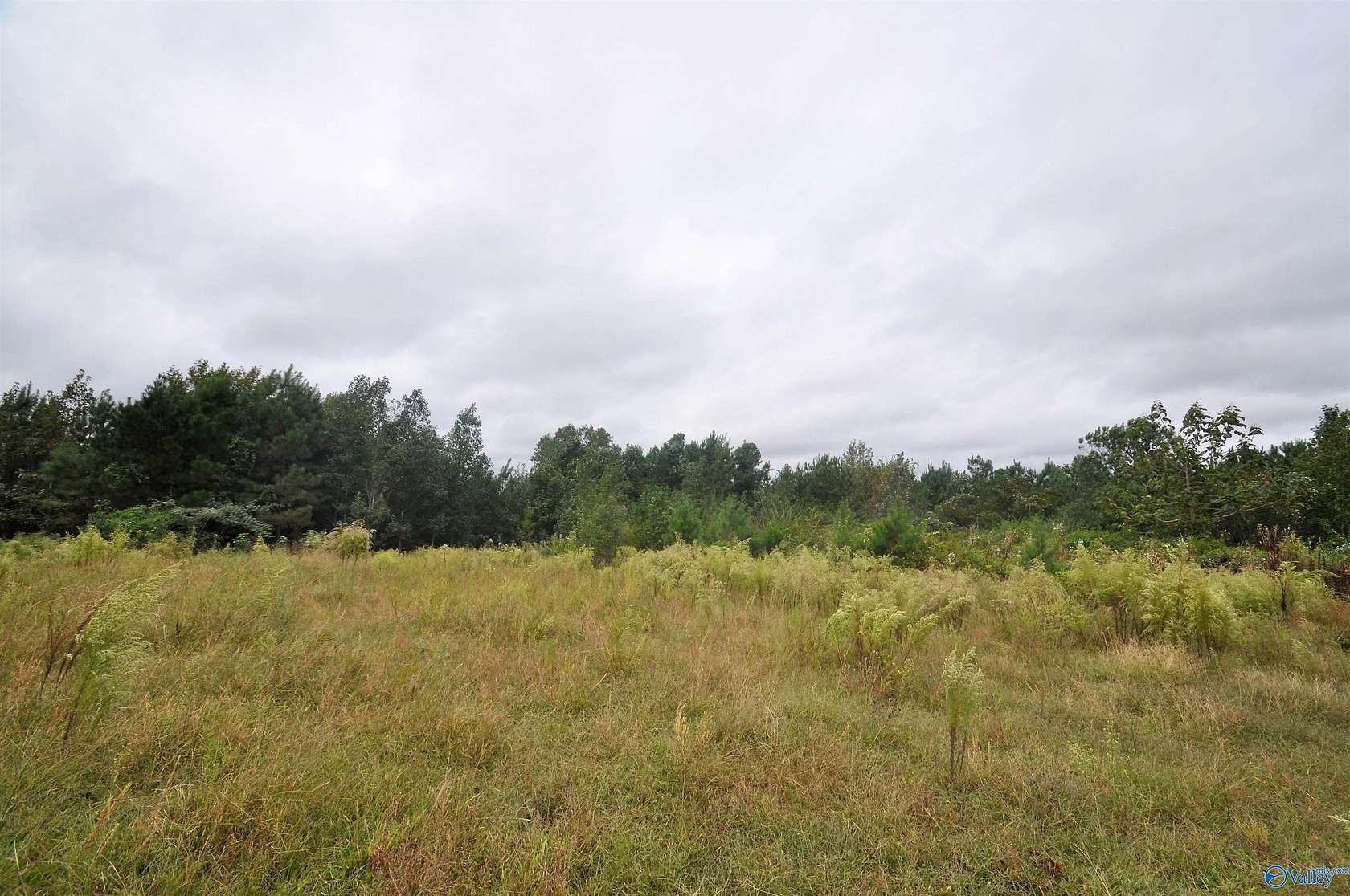 33 Acres of Land for Sale in Vinemont, Alabama