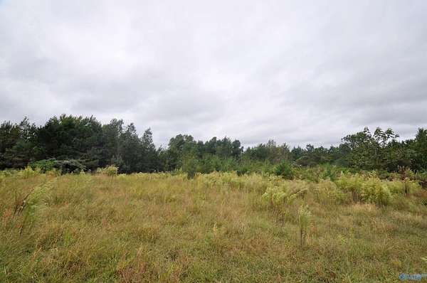33 Acres of Land for Sale in Vinemont, Alabama