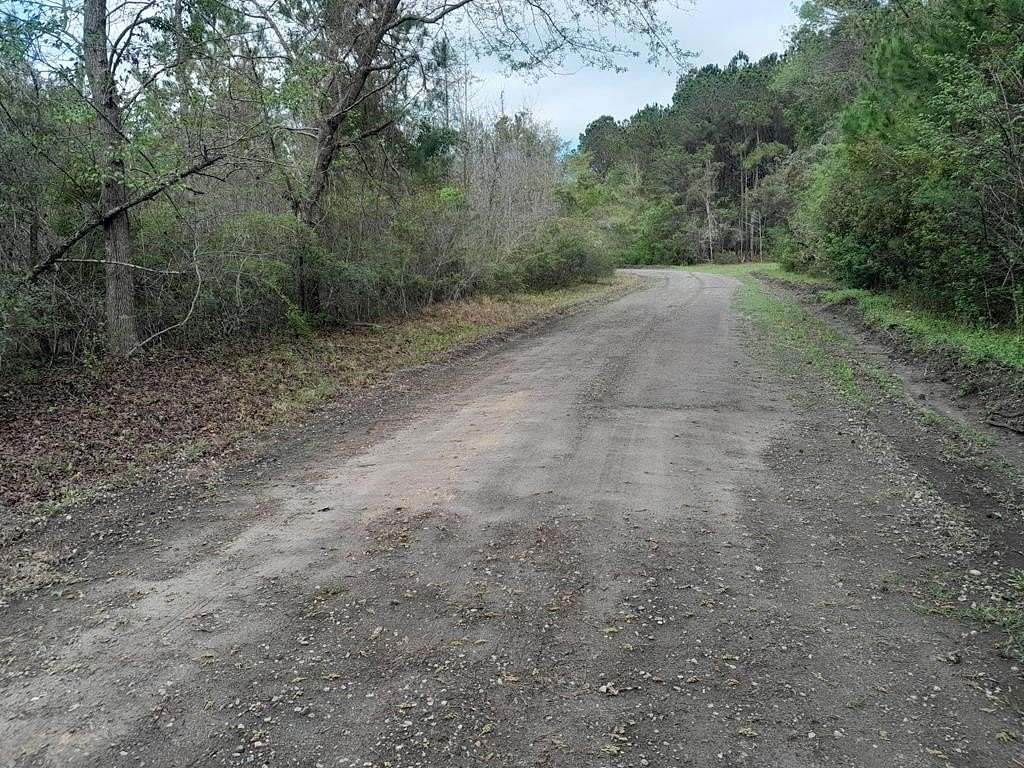 10.6 Acres of Land for Sale in Cross, South Carolina