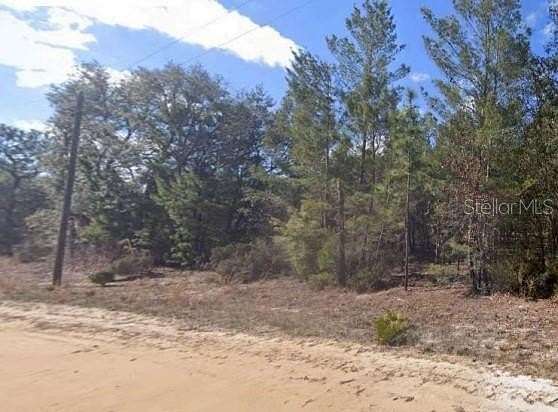 0.29 Acres of Residential Land for Sale in Interlachen, Florida