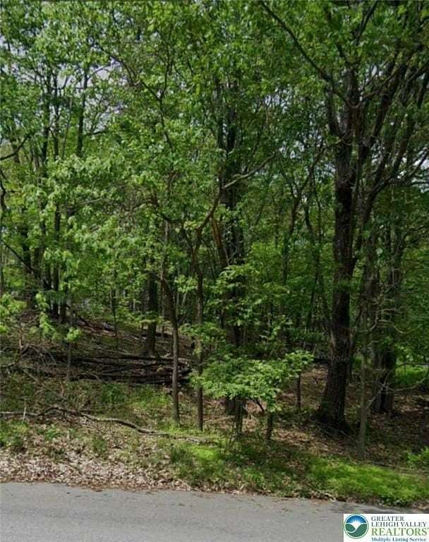 0.45 Acres of Residential Land for Sale in Mount Pocono, Pennsylvania