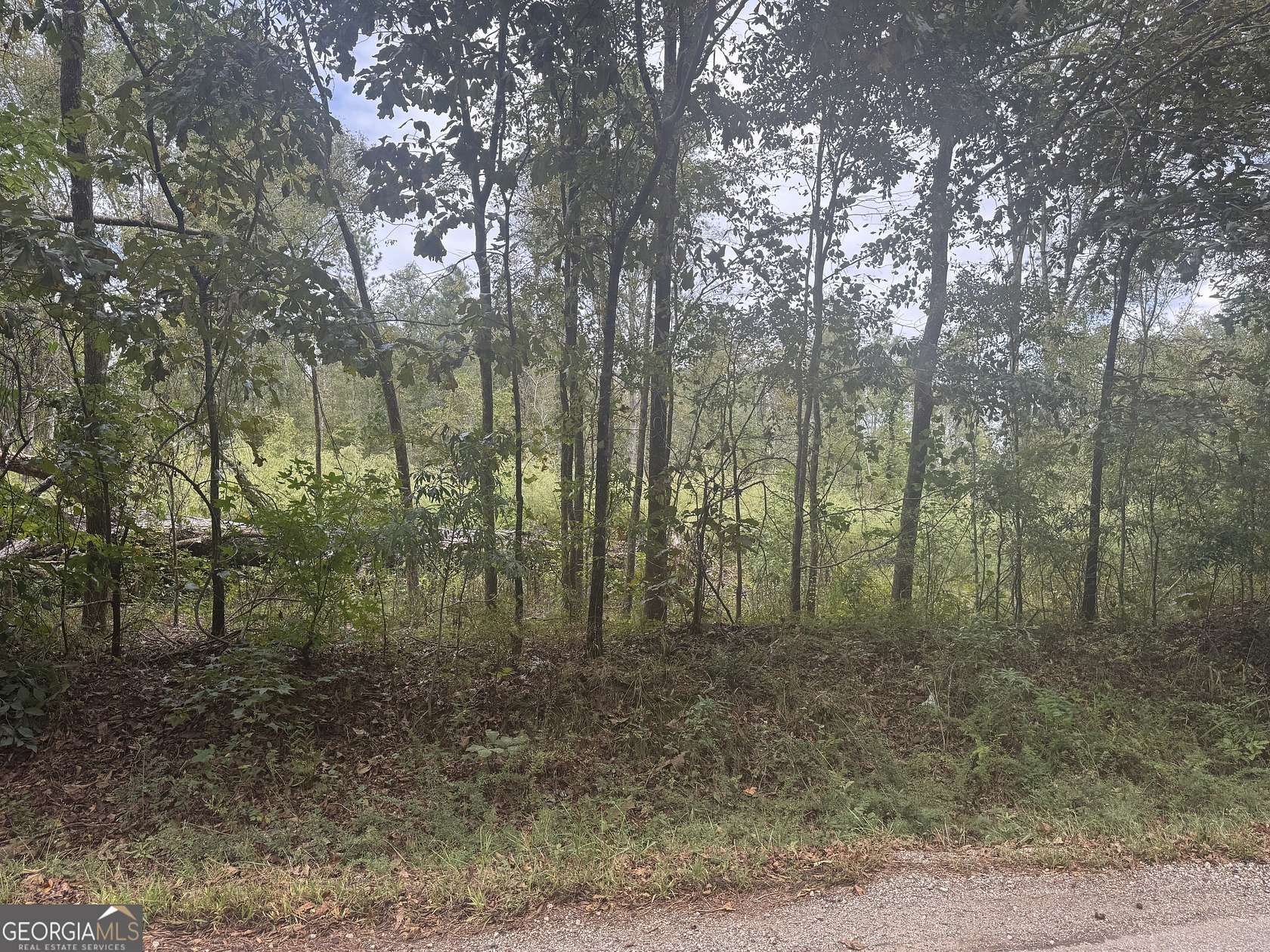 17.8 Acres of Land for Sale in Mansfield, Georgia