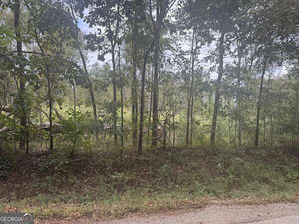 17.8 Acres of Land for Sale in Mansfield, Georgia