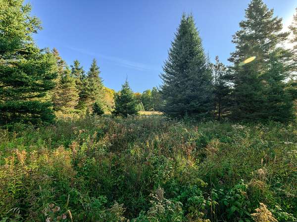 10 Acres of Land for Sale in Pickford, Michigan