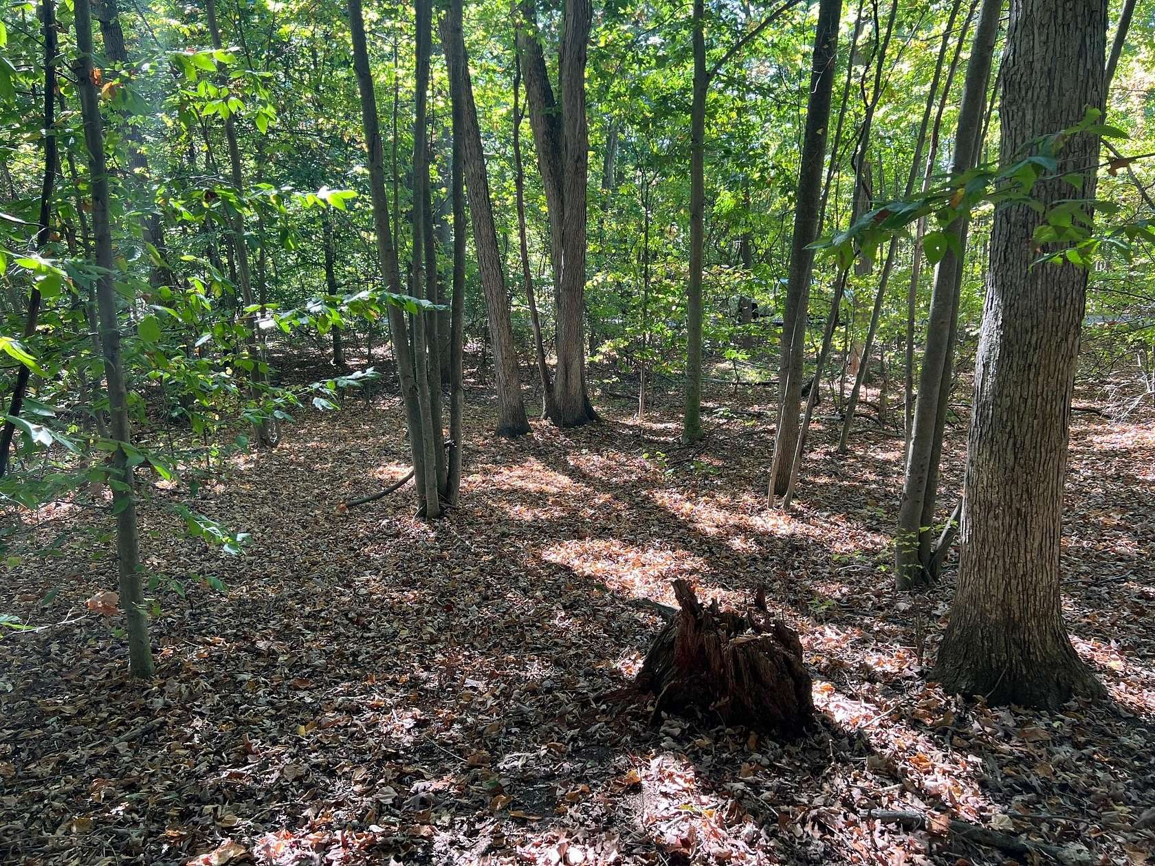 0.37 Acres of Residential Land for Sale in Allegan, Michigan